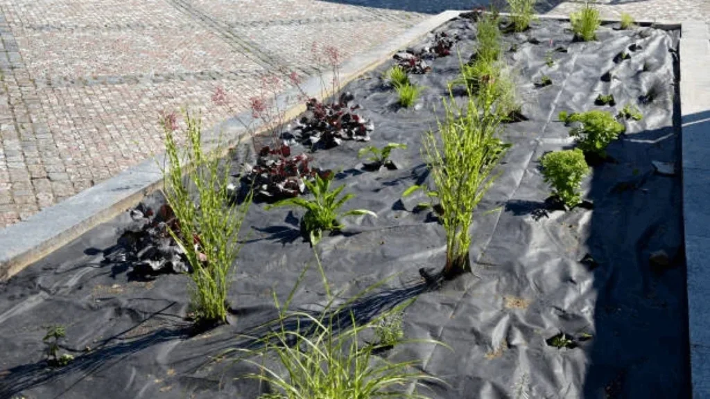 landscape fabric under gravel