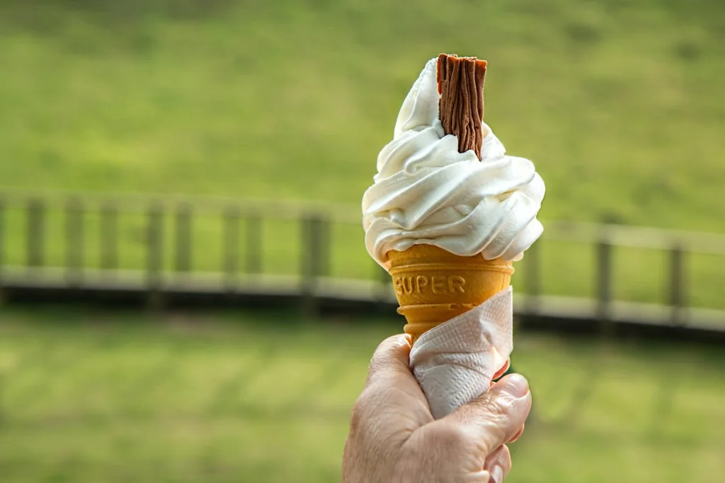 make soft serve ice cream without using a machine