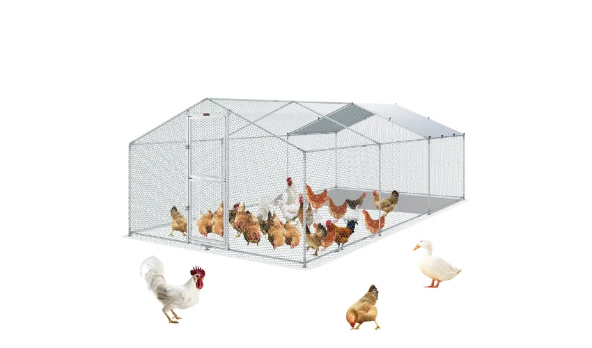 19.7 x 9.8 x 6.4 ft Metal Chicken Coop