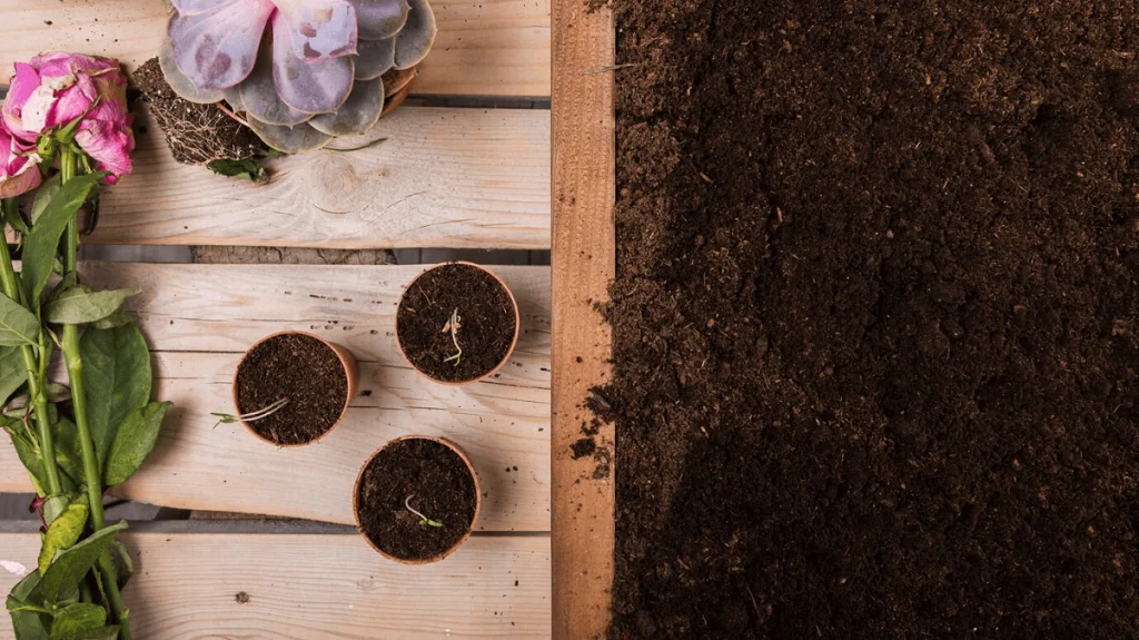 raised garden bed soil