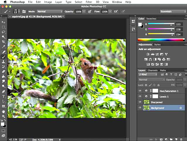 Adobe Photoshop v