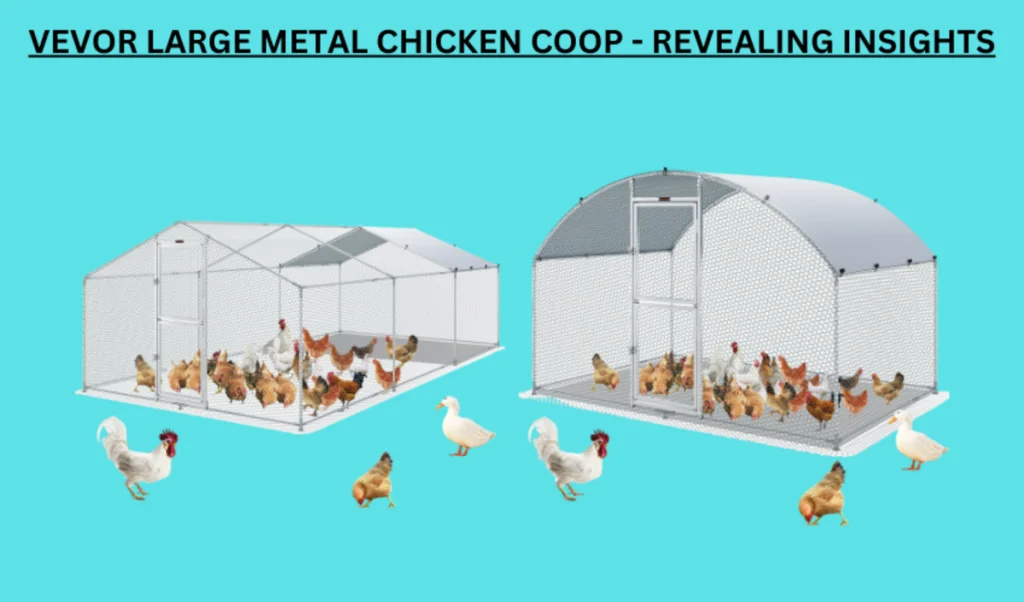 faqs on metal chicken coop Archives VEVOR Blog