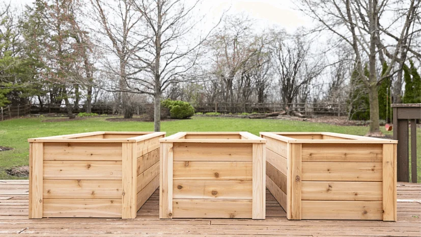 top výber dreva pre vyvýšené záhradné postele