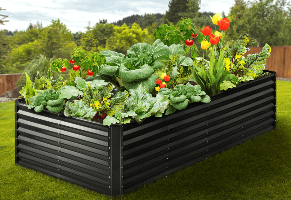watering raised garden beds like a pro