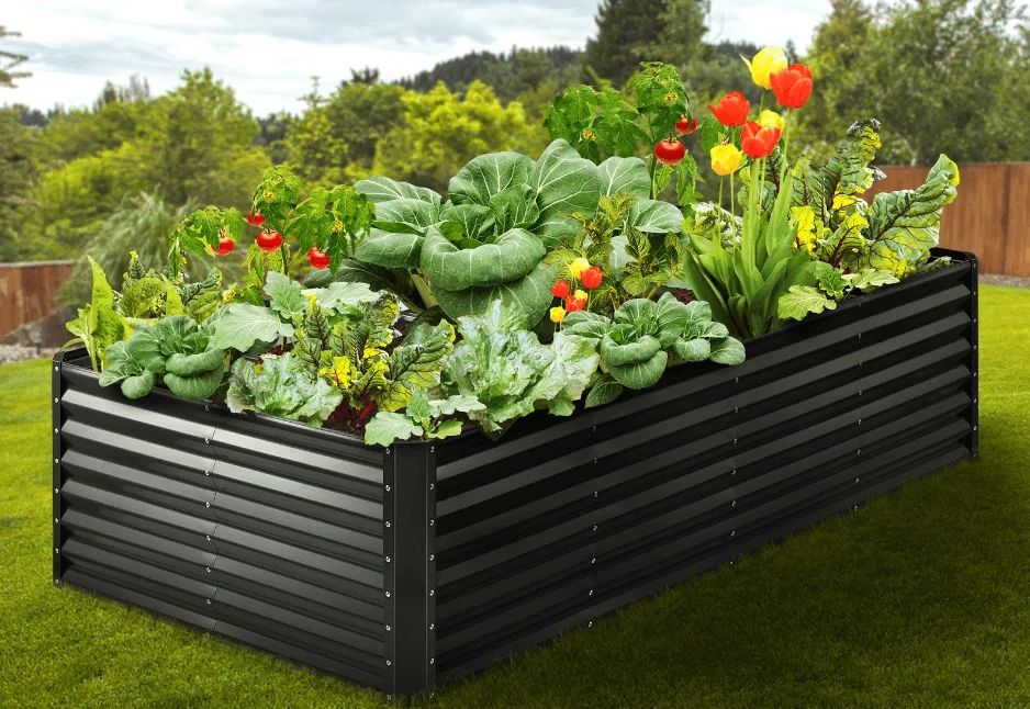 Мудрая вода: как поливать высокие грядки - Блог VEVOR