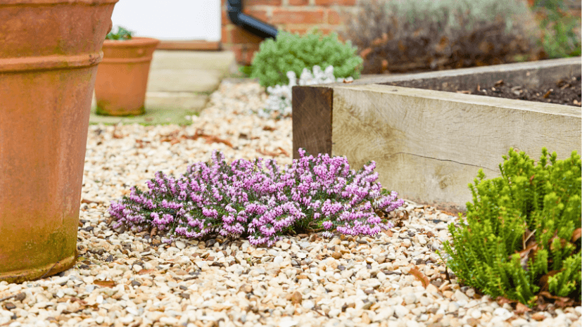 winterizing raised garden bed