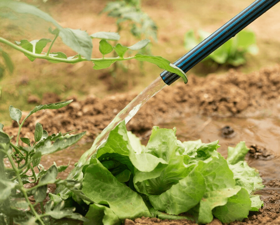 the importance of choosing the right 100m garden hose
