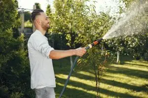 Garden hose reel