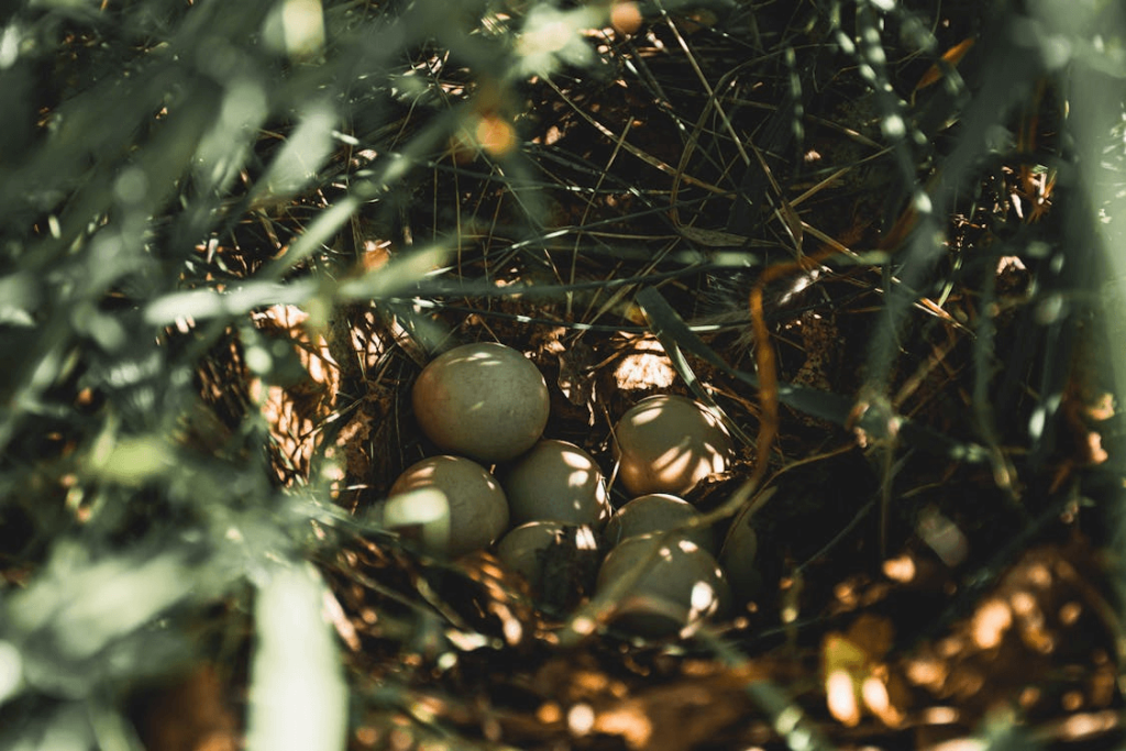 understanding the role of humidity in incubation