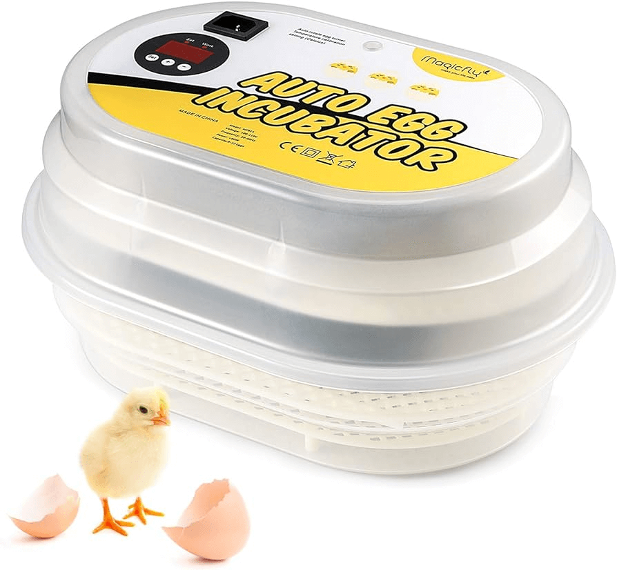 Magicfly Digital Egg incubator
