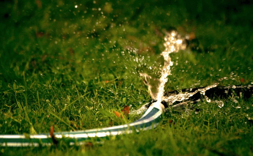How to maximize the lifespan of your garden hose
