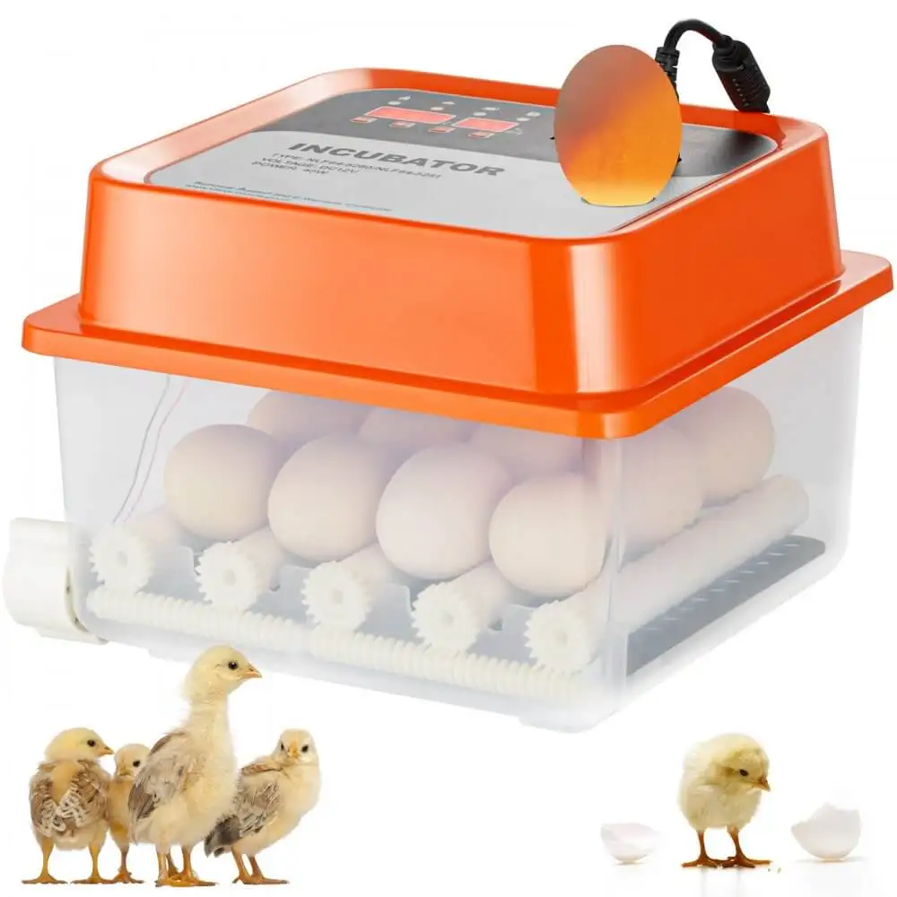 VEVOR Egg Incubator Review: Hatch Success Every Time - VEVOR Blog