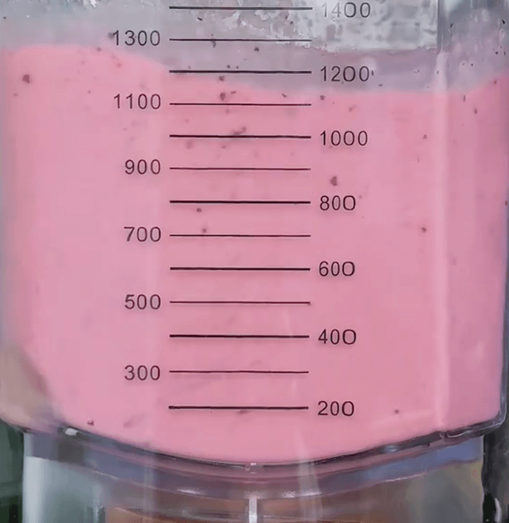 VEVOR professional blender versatility