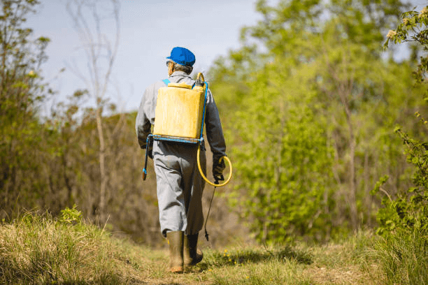 Expert tips for using a weed sprayer