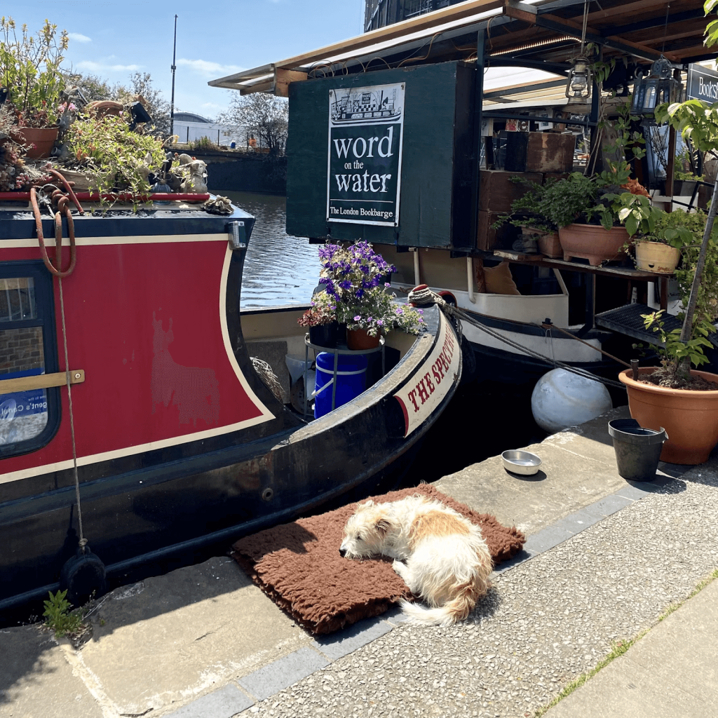 How to choose the right boat carpet