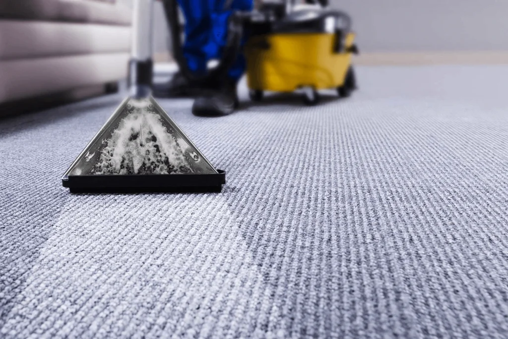 how to clean a boat carpet