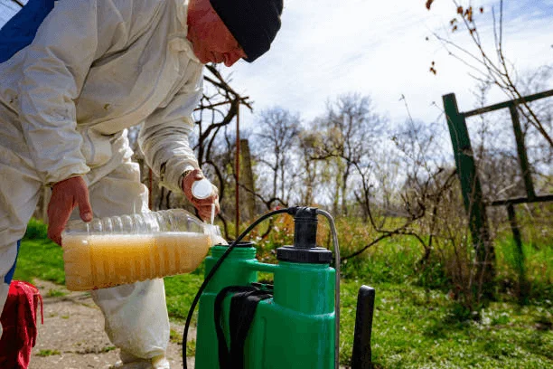 How to maintain and clean weed sprayer