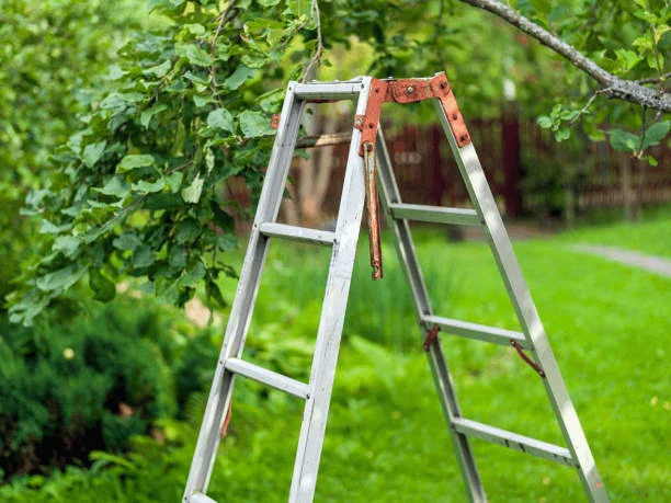 Reasons why you need a telescoping ladder
