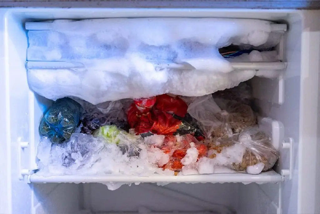 How to Defrost a freezer