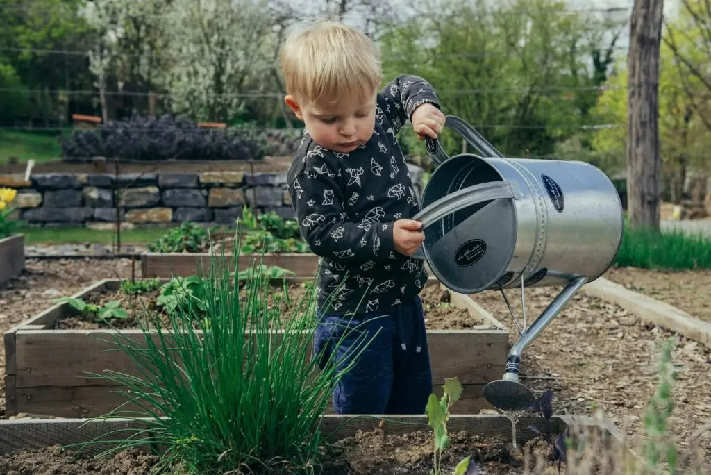 Proper plant care for optimal production