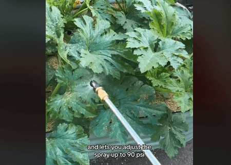 using the VEVOR battery-powered backpack sprayer