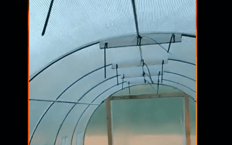 Ventilated VEVR walk-in tunnel greenhouse