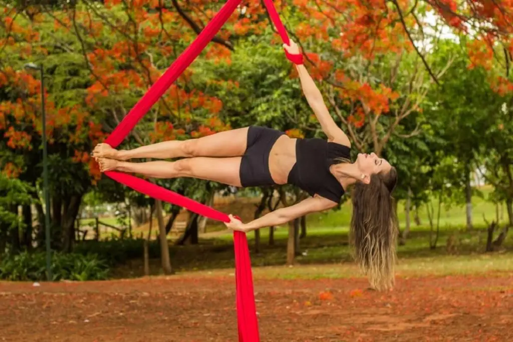 Aerial Hammock