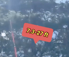 Extendable Tree Pruner