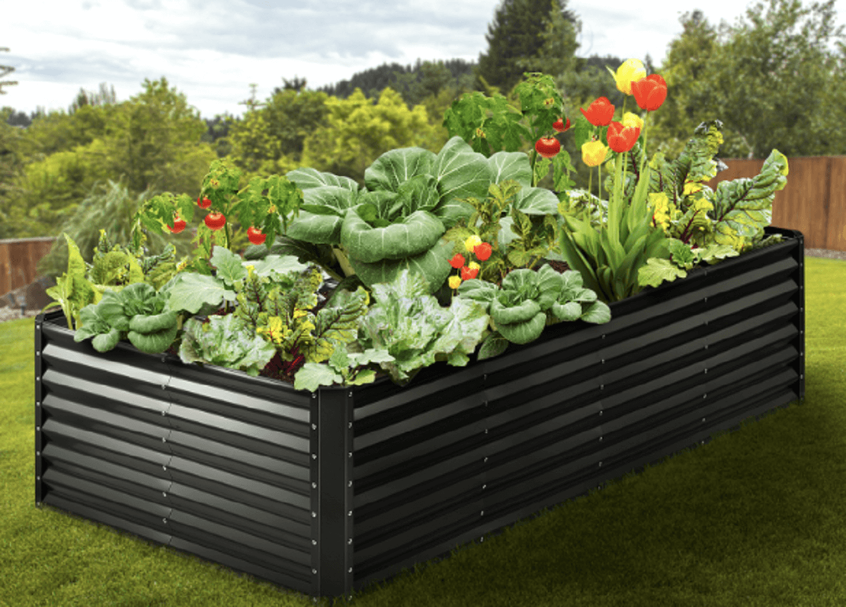 Galvanized Raised Garden Bed Ideas