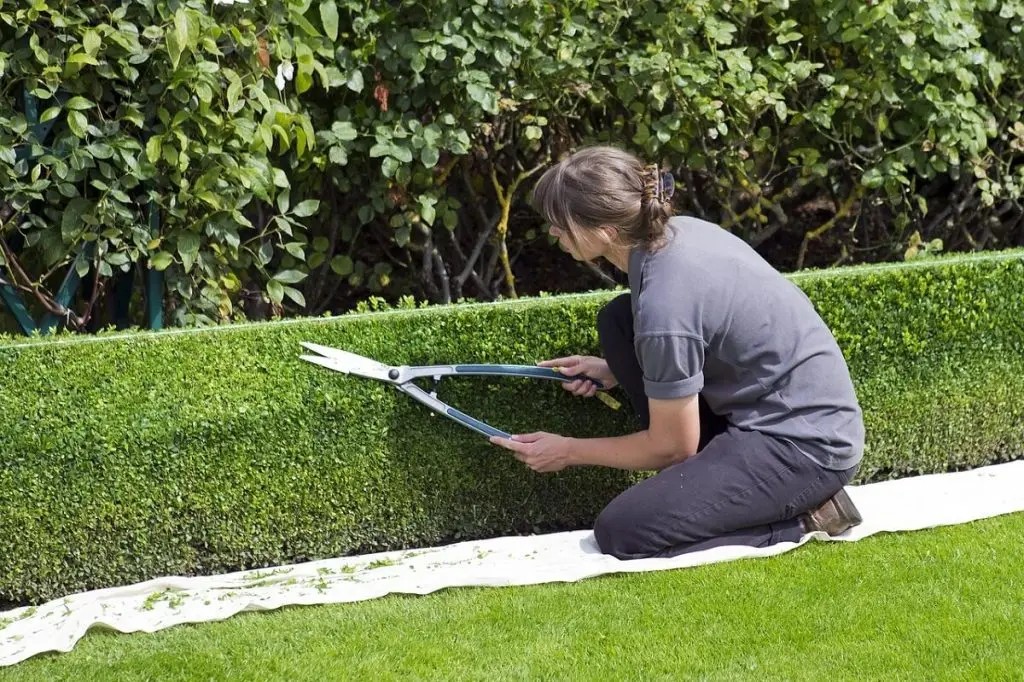 Gardening