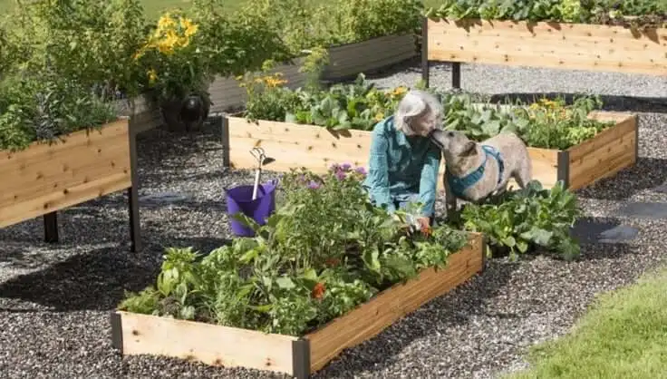 Maintaining a DIY Raised Garden Bed