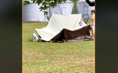 Setting up the VEVOR Outdoor Camping Gazebo