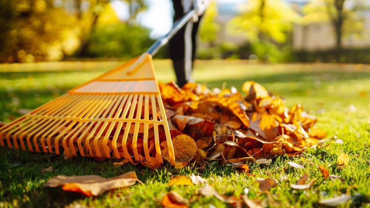 Fall Yard Clean Up: 7 Tips for a Tidy Lawn - VEVOR Blog