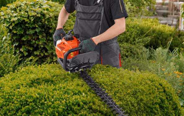 VEVOR Cordless Hedge Trimmer