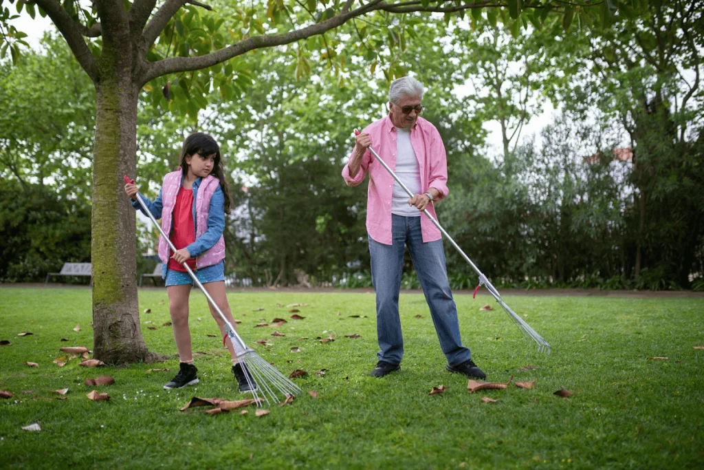 Lawn Sweeping