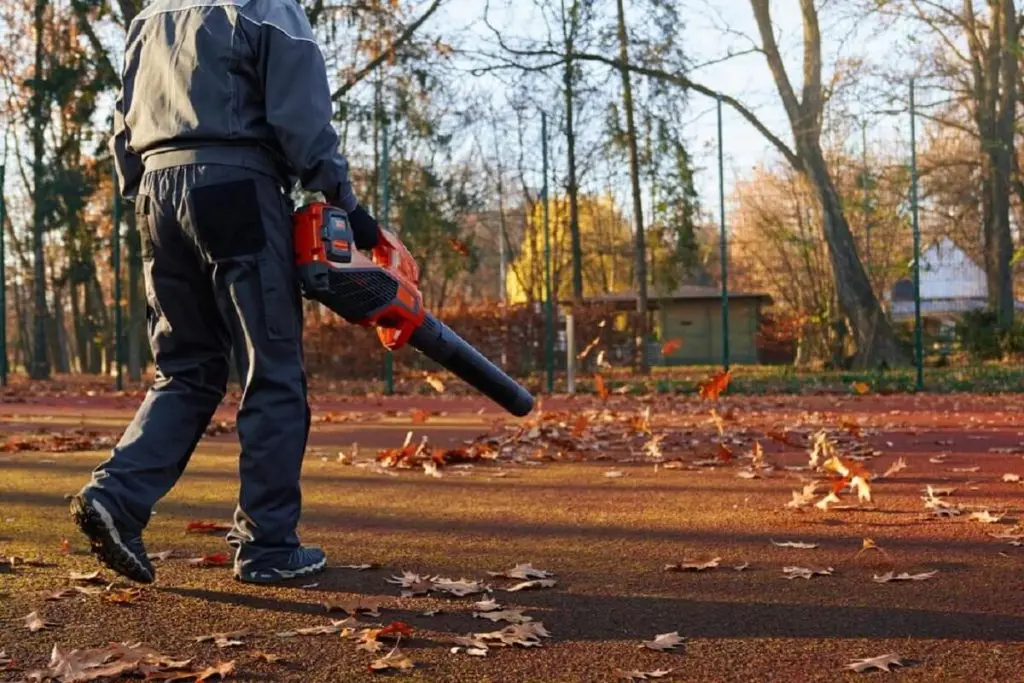 Leaf Blower