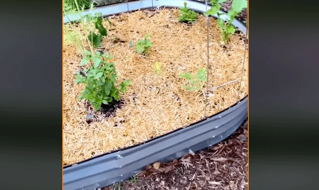 VEVOR Raised Garden Bed