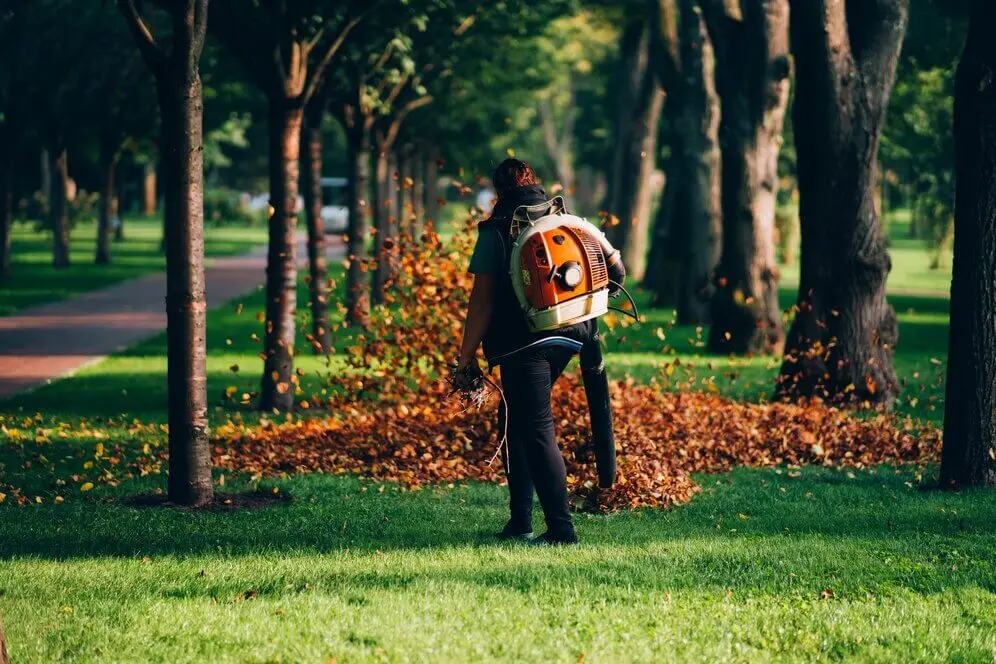 Using a leaf blower