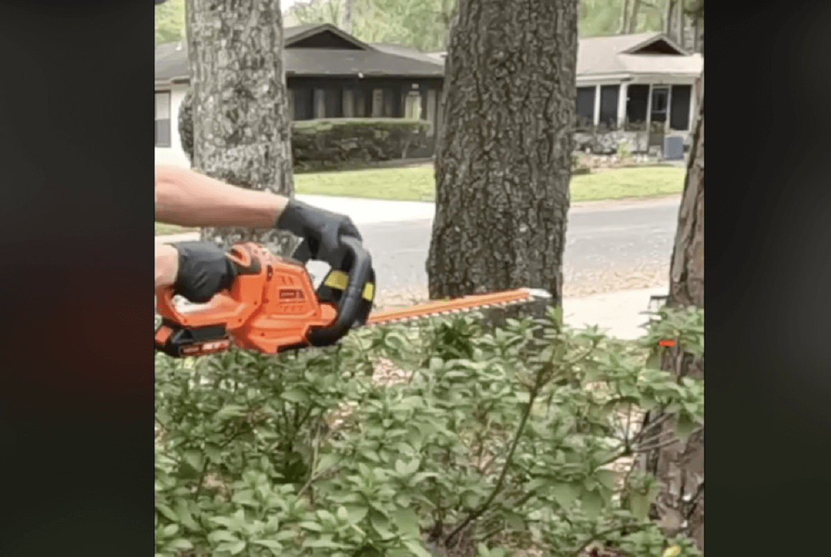 VEVOR Hedge Trimmer To Maintain A Neat & Beautiful Garden - VEVOR Blog