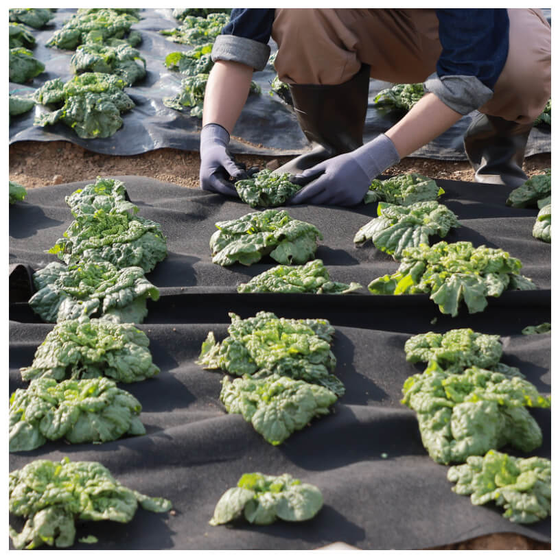 VEVOR Driveway Fabric