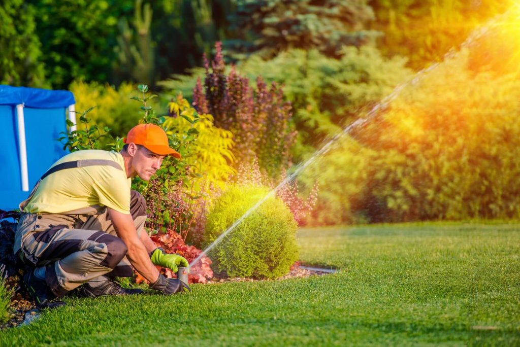Watering your Lawn