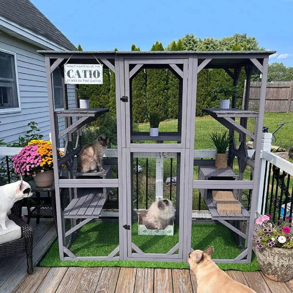 What is a Cat House? Everything You Need to Know - VEVOR Blog