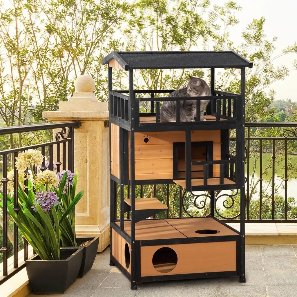 Outdoor cat house banefits