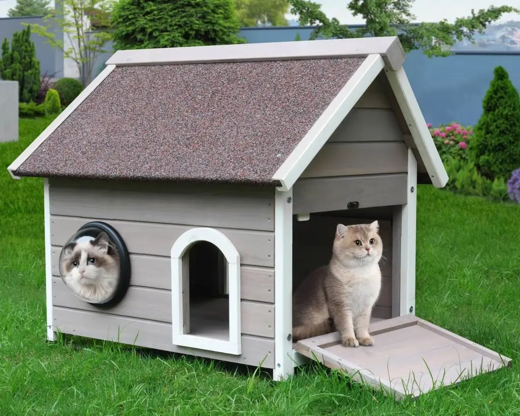 Outdoor cat house setting tips