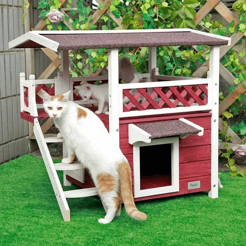 Petsfit Outdoor Cat House