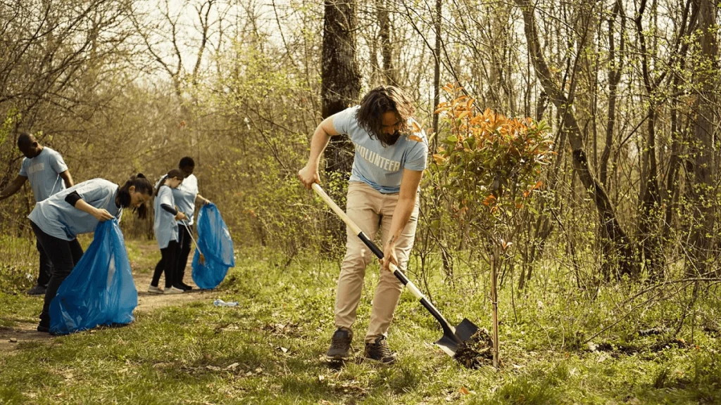 Yard Cleanup