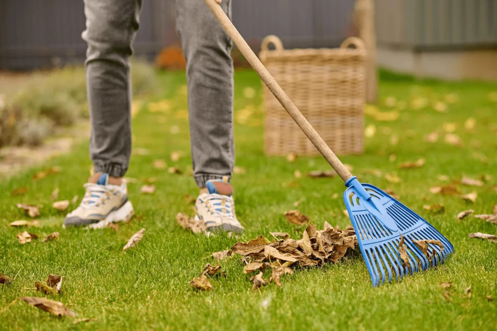 Yard Cleanup rake