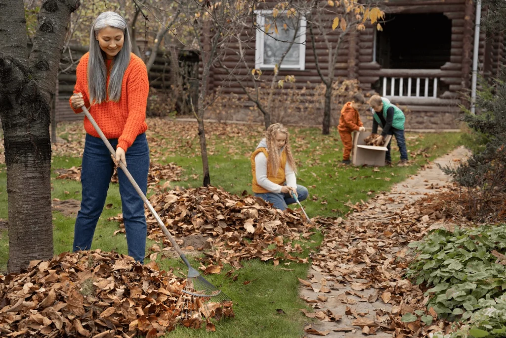 Yard Cleanup solutions