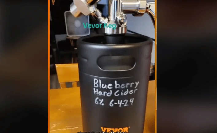 VEVOR Mini Keg