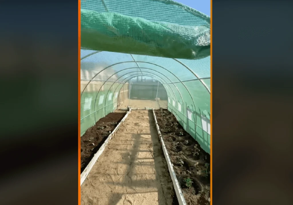 VEVOR Walk-in Tunnel Greenhouse